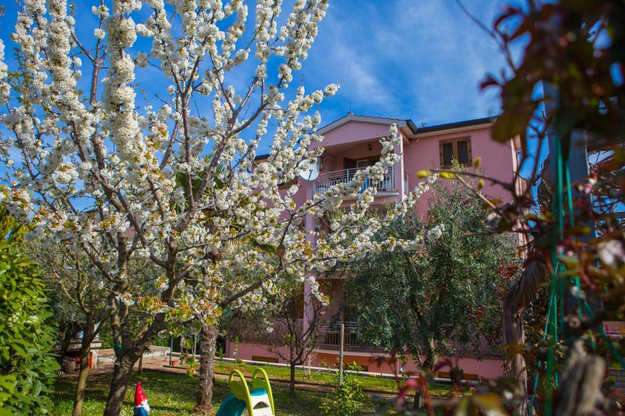 Lorena Apartmán Porec